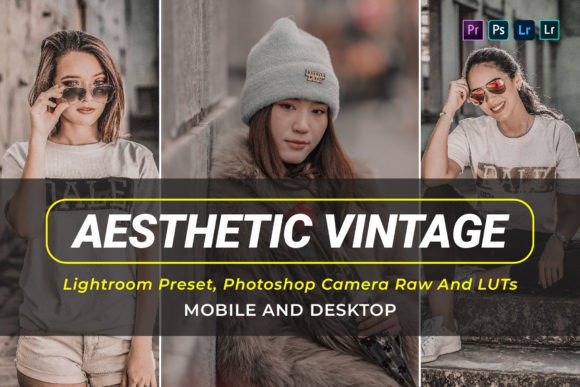 Download 10 Aesthetic Vintage Presets and Luts - Vintage Collection
