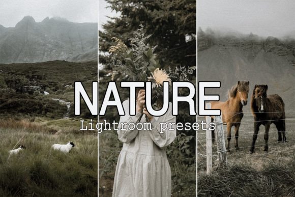 Download 9 Nature Lightroom Mobile Presets - Mobile presets Collection
