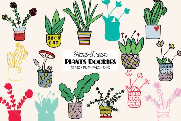 Download House Plants Color, Cactus, Indoor Pot - Indoor Collection