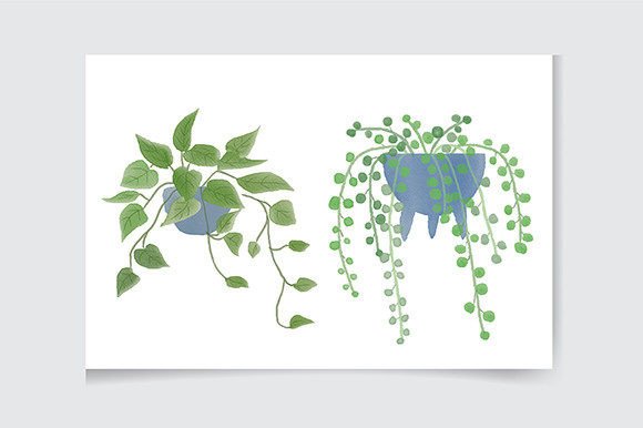 Download House Plant Clipart, Indoor Plants - Indoor Collection